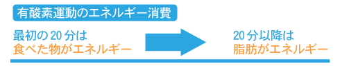 有酸素運動のエネルギー消費