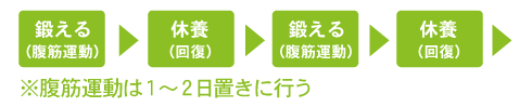 腹筋運動のサイクル